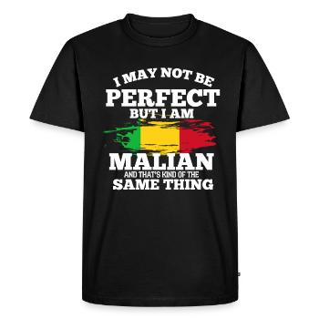 Mauritanie - T-shirt Premium bio Homme - noir - Devant - Nico (187cm)