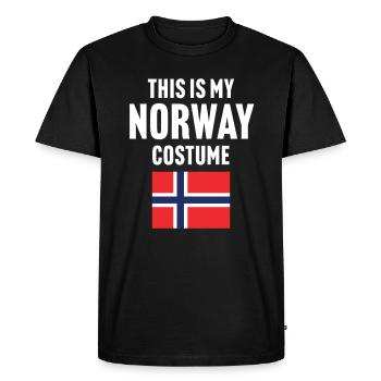 C’est mon costume de Norvège - T-shirt Premium bio Homme - noir - Devant - Nico (187cm)
