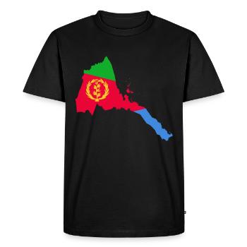 Habesha T-Shirt Erythrée Injera Ethiopie Idée cadeau - T-shirt Premium bio Homme - noir - Devant - Nico (187cm)