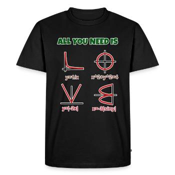 Amour, maths - coeur sous forme de formule et graphique - T-shirt Premium bio Homme - noir - Devant - Nico (187cm)