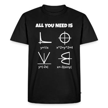 Amour, maths - le cœur sous forme de formule et de graphique - T-shirt Premium bio Homme - noir - Devant - Nico (187cm)