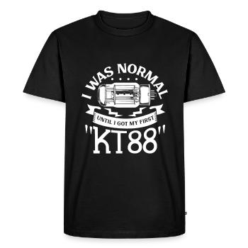 Normal up to the first KT88 vacuum tube - Men's Premium Organic T-Shirt - black - Front - Nico (187cm)