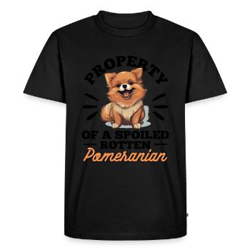 Poméranie Pom Dog Pom-Pom - Propriété d’un - T-shirt Premium bio Homme - noir - Devant - Nico (187cm)