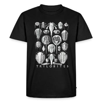 L’humour des dinosaures de la paléontologie - T-shirt Premium bio Homme - noir - Devant - Nico (187cm)