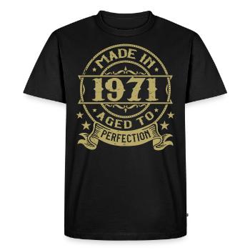 Vintage 1971 Anniversaire 1971 Cadeau 1971 Rétro - T-shirt Premium bio Homme - noir - Devant - Nico (187cm)