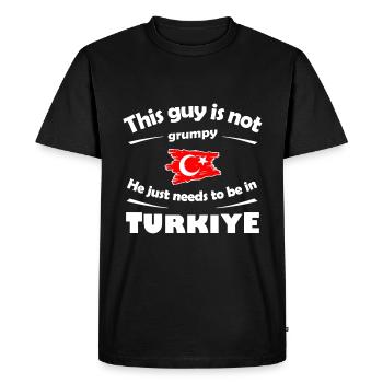 Holidays in Turkey - Men's Premium Organic T-Shirt - black - Front - Nico (187cm)