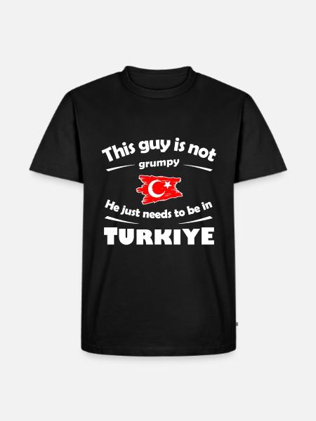 Holidays in Turkey - Men's Premium Organic T-Shirt - black