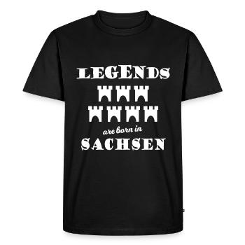 Les Saxons de Transylvanie - T-shirt Premium bio Homme - noir - Devant - Nico (187cm)
