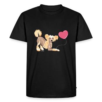 Ballon C chinois I - T-shirt Premium bio Homme - noir - Devant - Nico (187cm)