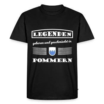 Legends from Pomerania - Men's Premium Organic T-Shirt - black - Front - Nico (187cm)