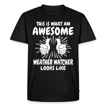 Weather Observers - Men's Premium Organic T-Shirt - black - Front - Nico (187cm)