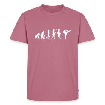 MMA Muay Thai Boxen Kickboxen Kampfsport Evolution - Männer Premium Bio T-Shirt - Mauve - Vorne - Nico (187cm)