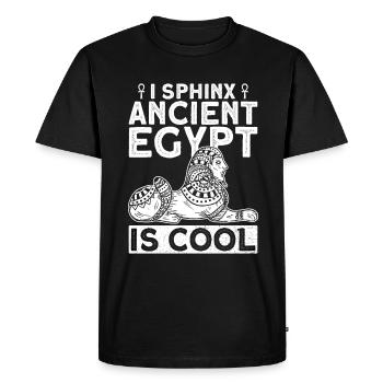 Sphinx Egyptian Mythology Ancient Egypt - Men's Premium Organic T-Shirt - black - Front - Nico (187cm)