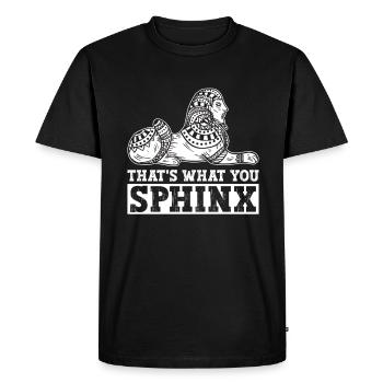 This is the Sphinx - Egyptian Mythology - Ancient - Men's Premium Organic T-Shirt - black - Front - Nico (187cm)