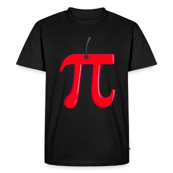 Cherry Pi - Drôle de professeur de mathématiques pour le jour de Pi - T-shirt Premium bio Homme - noir - Devant - Nico (187cm)