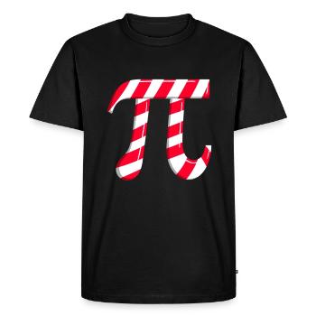 Pi Candy Canes Math Pi Noël - T-shirt Premium bio Homme - noir - Devant - Nico (187cm)
