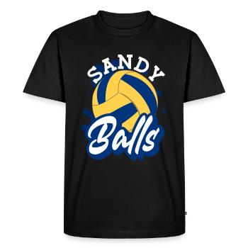 Sandy Balls - Volleyball de plage amusant - T-shirt Premium bio Homme - noir - Devant - Nico (187cm)