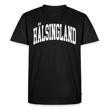 Hälsingland - T-shirt Premium bio Homme - noir - Devant - Nico (187cm)