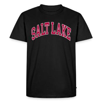 Salt Lake - Men's Premium Organic T-Shirt - black - Front - Nico (187cm)