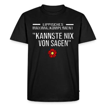 Hermannsdenkmal Detmold Wahrzeichen - Männer Premium Bio T-Shirt - Schwarz - Vorne - Nico (187cm)
