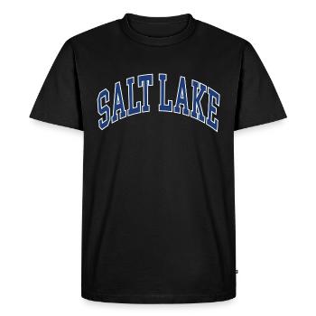 Salt Lake - Men's Premium Organic T-Shirt - black - Front - Nico (187cm)