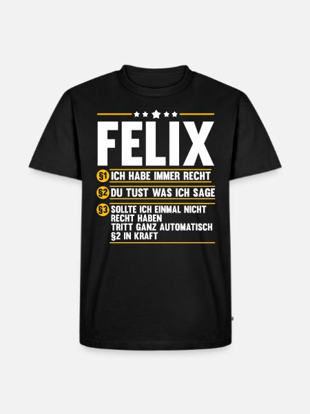 Felix - Männer Premium Bio T-Shirt - Schwarz