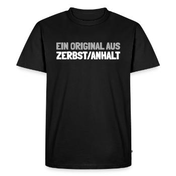 Ville allemande Zerbstanhalt, Saxe-Anhalt - T-shirt Premium bio Homme - noir - Devant - Nico (187cm)