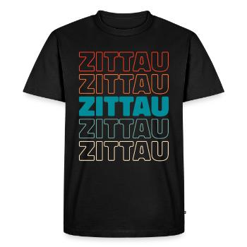 Ville allemande de Zittau, Saxe - T-shirt Premium bio Homme - noir - Devant - Nico (187cm)
