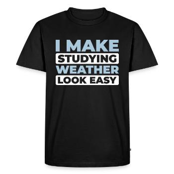Climate Analyst - Men's Premium Organic T-Shirt - black - Front - Nico (187cm)