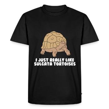 Tortues Sulcata - T-shirt Premium bio Homme - noir - Devant - Nico (187cm)