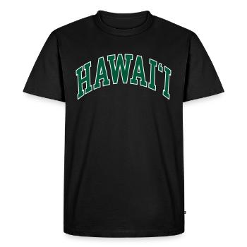 Hawaii - Men's Premium Organic T-Shirt - black - Front - Nico (187cm)