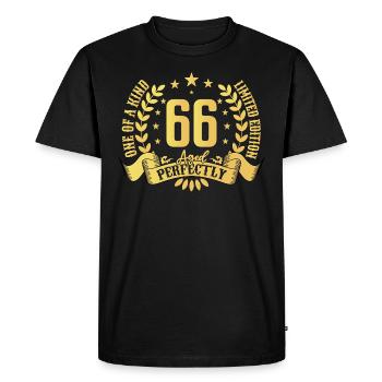 66 ans cadeau d’anniversaire 66 ans - T-shirt Premium bio Homme - noir - Devant - Nico (187cm)
