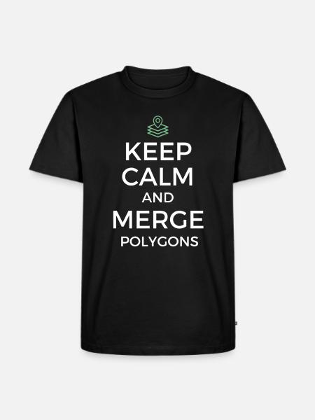 GIS - Geographische Informationssysteme - Männer Premium Bio T-Shirt - Schwarz