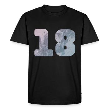 18. Geburtstag - Männer Premium Bio T-Shirt - Schwarz - Vorne - Nico (187cm)