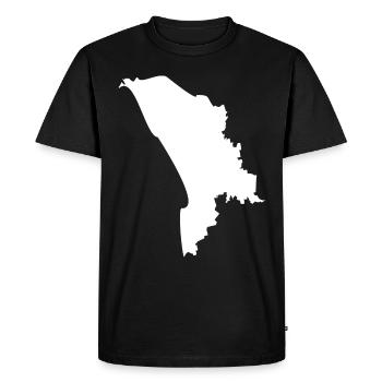 Drapeau de la carte de la Moldavie - T-shirt Premium bio Homme - noir - Devant - Nico (187cm)