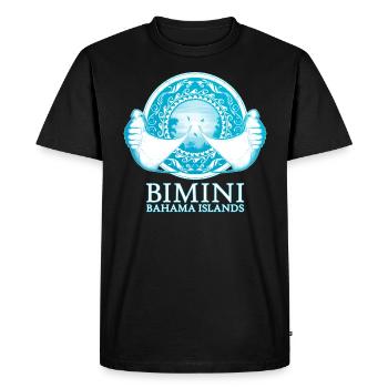 Manta rays Bimini Bahamas - Men's Premium Organic T-Shirt - black - Front - Nico (187cm)