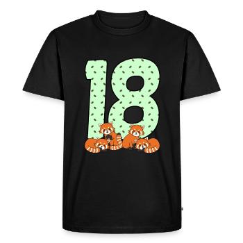 18e anniversaire - T-shirt Premium bio Homme - noir - Devant - Nico (187cm)