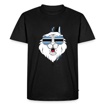 Botswana - T-shirt Premium bio Homme - noir - Devant - Nico (187cm)