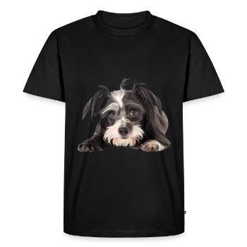 Chinese Crested - Men's Premium Organic T-Shirt - black - Front - Nico (187cm)