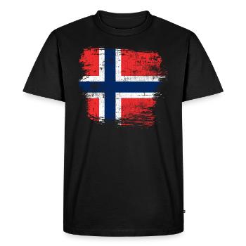 Norwegen - Männer Premium Bio T-Shirt - Schwarz - Vorne - Nico (187cm)
