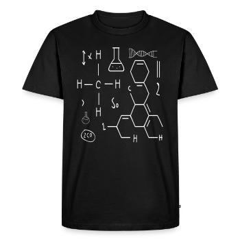Physik Chemie Bild Formel Humor Geschenk - Männer Premium Bio T-Shirt - Schwarz - Vorne - Nico (187cm)