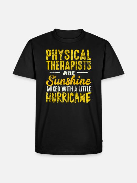 Physiotherapist saying - Men's Premium Organic T-Shirt - black