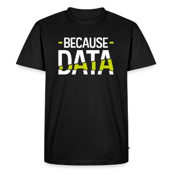 informaticien - T-shirt Premium bio Homme - noir - Devant - Nico (187cm)
