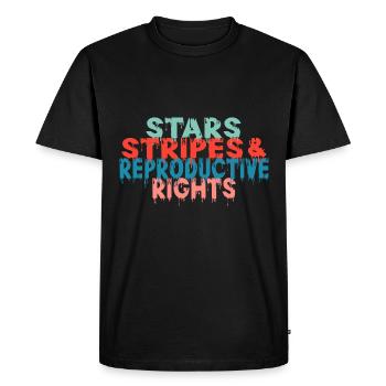 Star stripes and reproduction rights - Men's Premium Organic T-Shirt - black - Front - Nico (187cm)