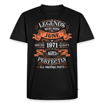 Original Juin 1971 né Né 1971 Retro - T-shirt Premium bio Homme - noir - Devant - Nico (187cm)
