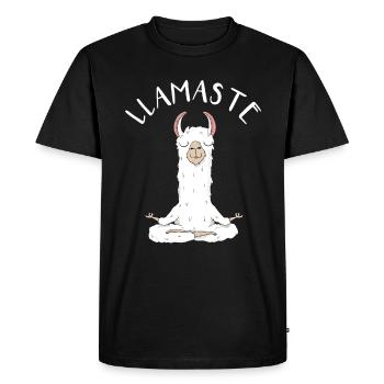 Llamaste - Funny Llama Alpaga Lovers Cadeau - T-shirt Premium bio Homme - noir - Devant - Nico (187cm)