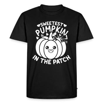 Citrouille la plus douce de la famille I Halloween Niedlic - T-shirt Premium bio Homme - noir - Devant - Nico (187cm)