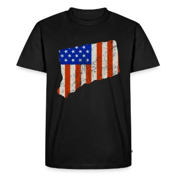 Cadeau du drapeau de l’État des États-Unis du Connecticut - T-shirt Premium bio Homme - noir - Devant - Nico (187cm)