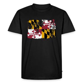 Maryland Traveler Cadeau - T-shirt Premium bio Homme - noir - Devant - Nico (187cm)