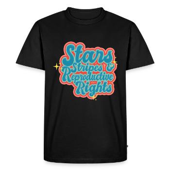 Star stripes and reproduction rights - Men's Premium Organic T-Shirt - black - Front - Nico (187cm)